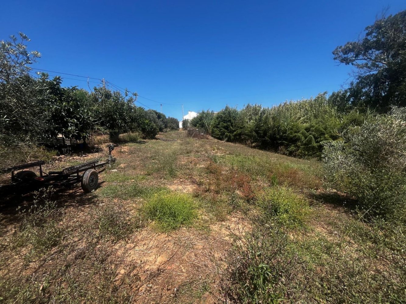 Terrain à Sao Martinho do Porto, Portugal No. 248125