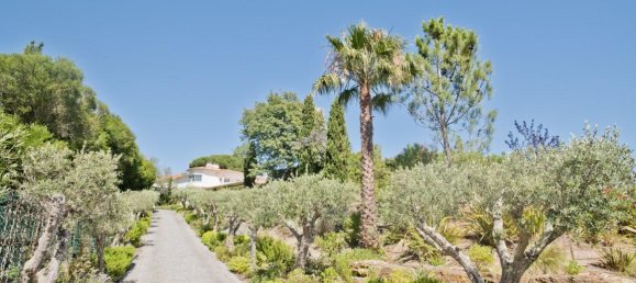 6 غرف نوم فيلا في Cascais, Portugal رقم 182201 10