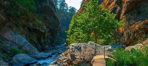2 Schlafzimmer Haus in Paredes, Portugal, Nr. 116865 25