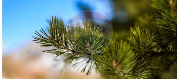 48280m² Land in Alcoutim, Portugal No. 38185 3