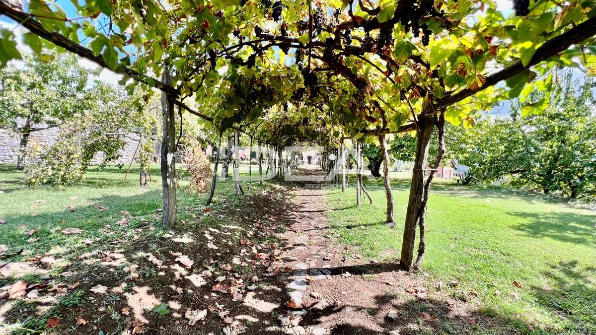 7-salle Terrain à Barga, Italy No. 24458