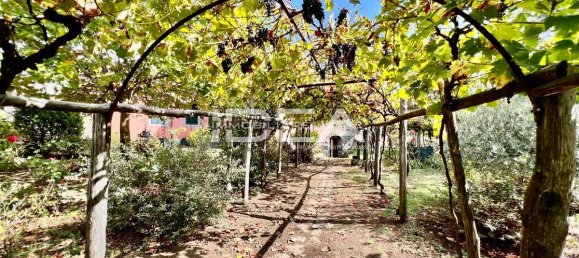 7-salle Terrain à Barga, Italy No. 24458 2