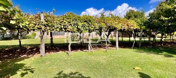 7-salle Terrain à Barga, Italy No. 24458 4