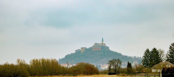 5974m² Land in Gussing, Austria No. 163006 3