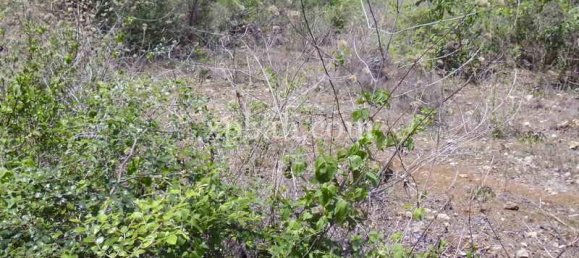 Terreno em Nusa Dua, Indonesia 2078 m² N.º 3832 13