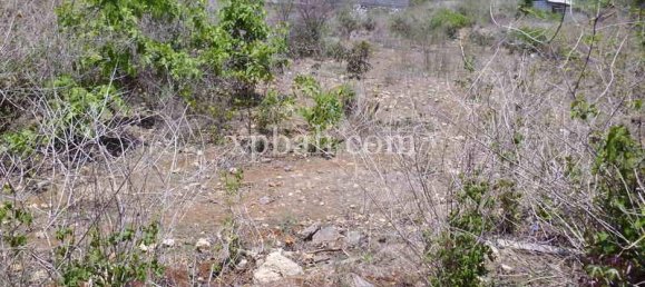 Terreno em Nusa Dua, Indonesia 2078 m² N.º 3832 12