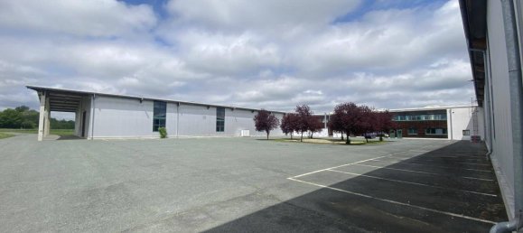 Lagerhaus in Heiligenkreuz im Lafnitztal, Austria 2514m², Nr. 141131 2