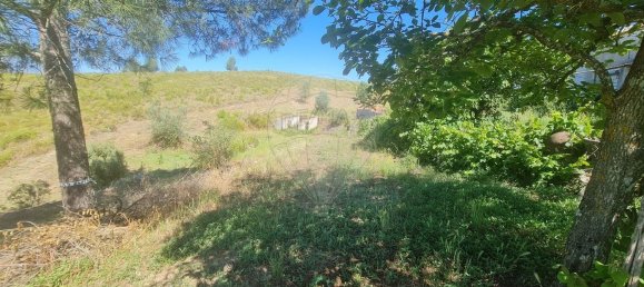 7 غرف نوم منزل في Cardigos, Portugal رقم 171185 31