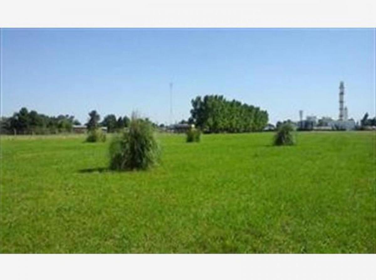 Grundstück in Pilar, Argentina, Nr. 36990