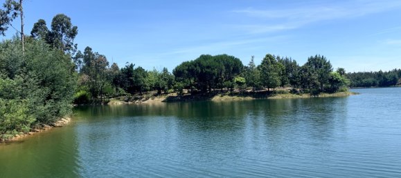 Grundstück in Mortagua, Portugal 265m², Nr. 49279 6