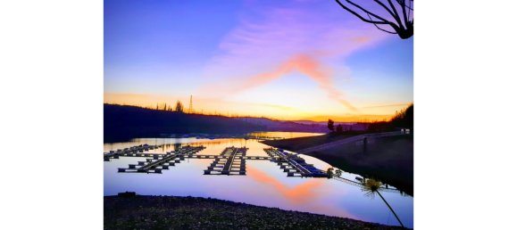 Grundstück in Mortagua, Portugal 265m², Nr. 49279 11