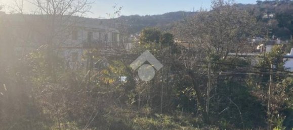 3 bedrooms Apartment in Trieste, Italy No. 18649 17