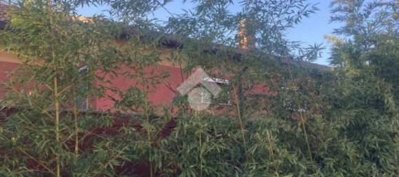 3 bedrooms Apartment in Trieste, Italy No. 18649 16