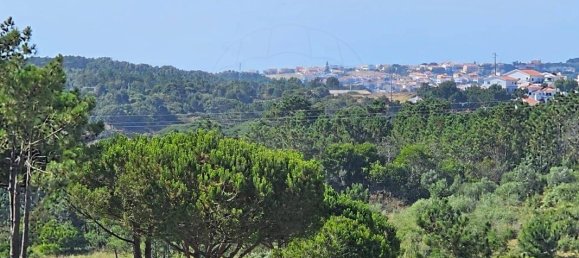 5350m² Land in Ericeira, Portugal No. 147265 10