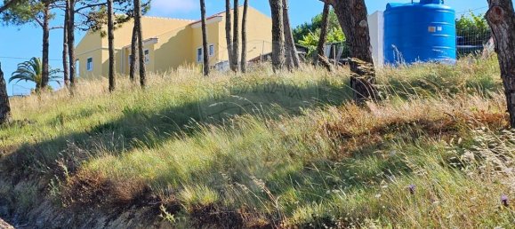 5350m² Land in Ericeira, Portugal No. 147265 6