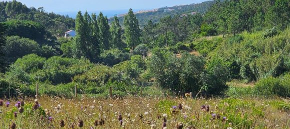 5350m² Land in Ericeira, Portugal No. 147265 7