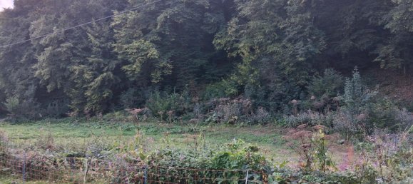 1 Schlafzimmer Haus in Remscheid, Germany, Nr. 278822 11