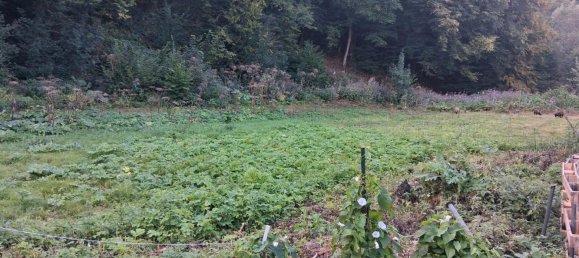 1 Schlafzimmer Haus in Remscheid, Germany, Nr. 278822 19