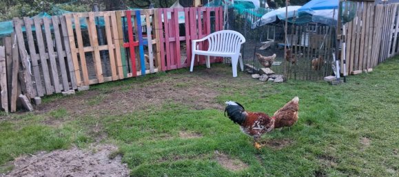 1 Schlafzimmer Haus in Remscheid, Germany, Nr. 278822 14