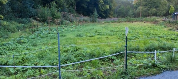 1 Schlafzimmer Haus in Remscheid, Germany, Nr. 278822 18