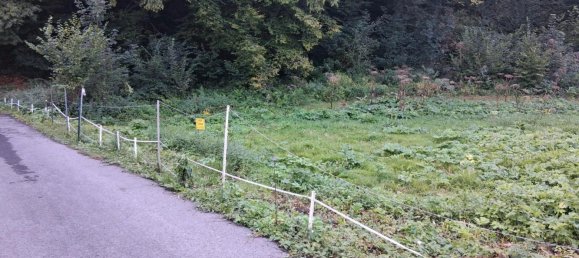 1 Schlafzimmer Haus in Remscheid, Germany, Nr. 278822 15