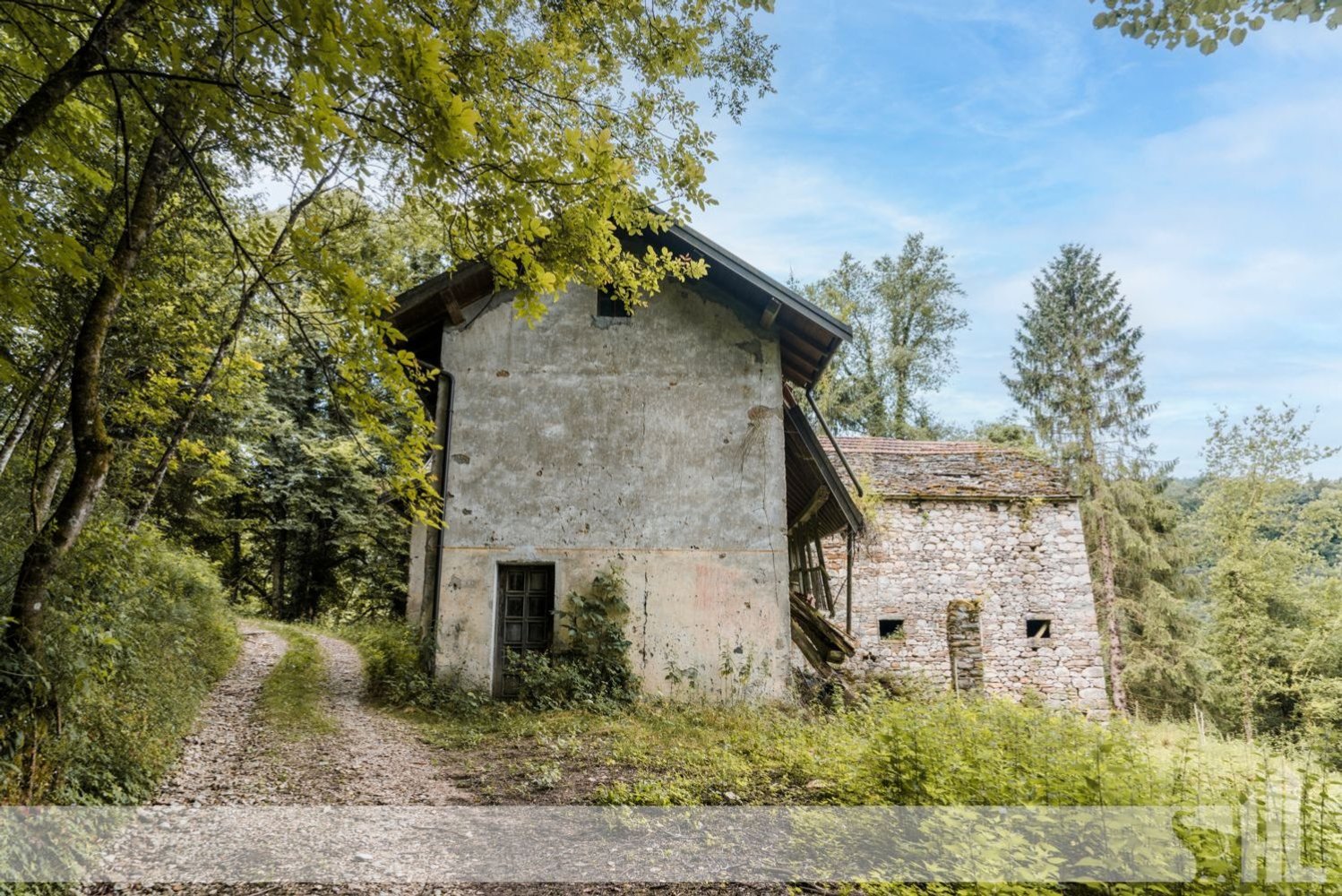 6 rooms House in Borgo Valbelluna, Italy No. 298771