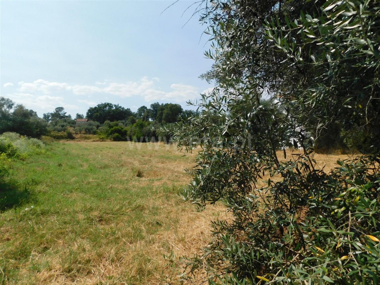 Terrain à Fundao, Portugal No. 272916