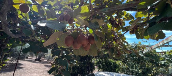 Дом с 3 спальнями в Аренас де Сан Педро, Испания № 64682 35