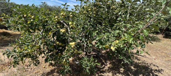 Дом с 3 спальнями в Аренас де Сан Педро, Испания № 64682 38