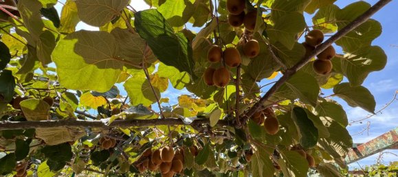 Дом с 3 спальнями в Аренас де Сан Педро, Испания № 64682 36