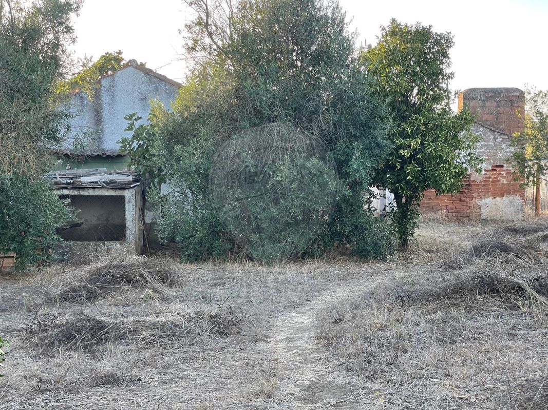 Дом с 3 спальнями в Эвора, Португалия № 22730