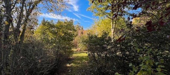 2 غرف نوم منزل في Brandenburg, Germany رقم 54782 4