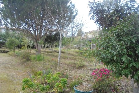 Grundstück in Barcelos, Portugal, Nr. 202257