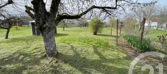  Land in Le Poinconnet, France No. 252502 2