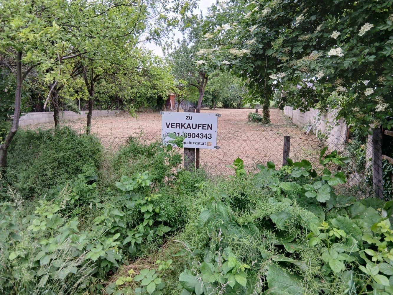 Terrain à Gols, Austria 530m² No. 164896