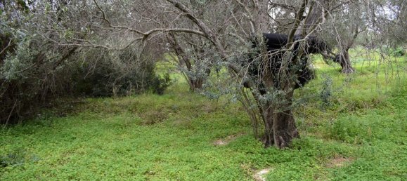 45000m² Hotel in Rethymno, Greece No. 6363 2