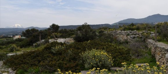 Hotel em Rethymno, Greece 45000 m² N.º 6363 13