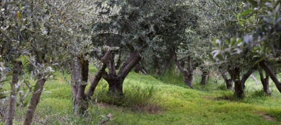 45000m² Hotel in Rethymno, Greece No. 6363 3