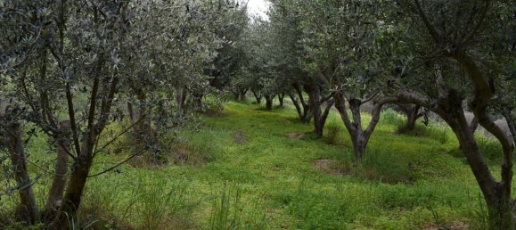 45000m² Hotel in Rethymno, Greece No. 6363 5