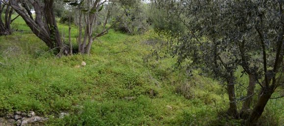 45000m² Hotel in Rethymno, Greece No. 6363 7