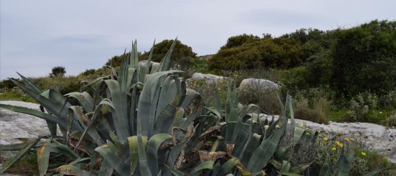 45000m² Hotel in Rethymno, Greece No. 6363 10