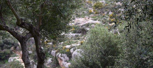 45000m² Hotel in Rethymno, Greece No. 6363 4