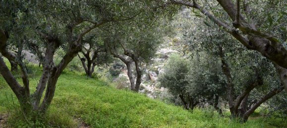 Hotel em Rethymno, Greece 45000 m² N.º 6363 6