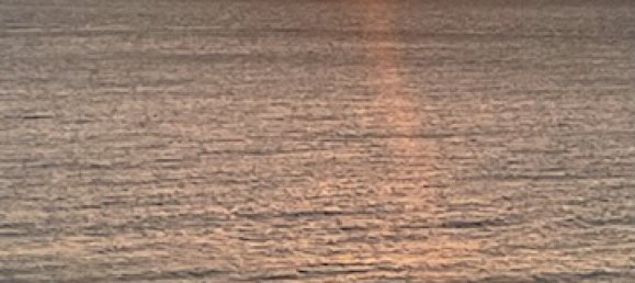 Villa T2 em Queensland, Australia N.º 859 24