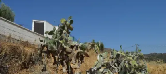 410m² Land in Cordoba, Spain No. 189025 2