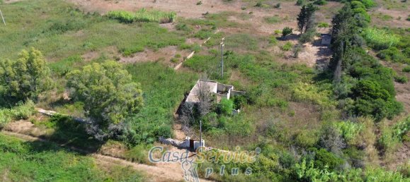 3-salle Maison à Gallipoli, Italy No. 235994 26