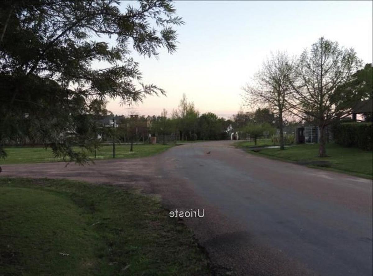 Земельный участок в Монтевидео, Уругвай № 15200