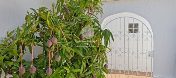 7 Schlafzimmer Villa in Alicante, Spain, Nr. 190312 18