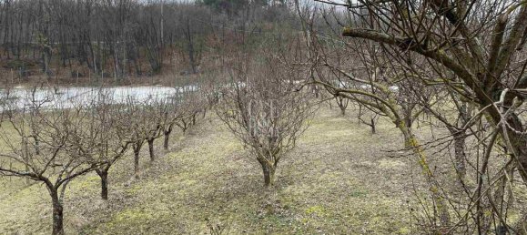 5 rooms Apartment in Varzi, Italy No. 128969 21