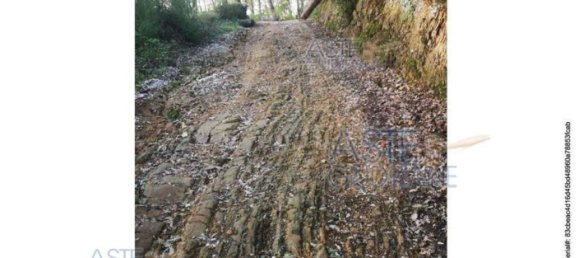 10 bedrooms House in Montale, Italy No. 342623 2